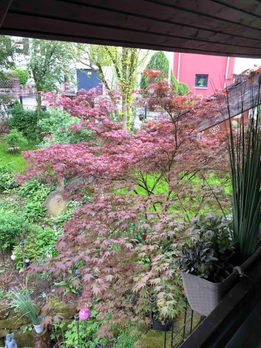 Willkommen Im Casa Felice, Der Wohlfuehl Oase Mit Balkon, 4 Betten Und Homeoffice Platz Aidlingen Exterior photo